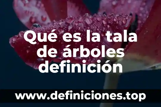 Qué es la tala de árboles definición