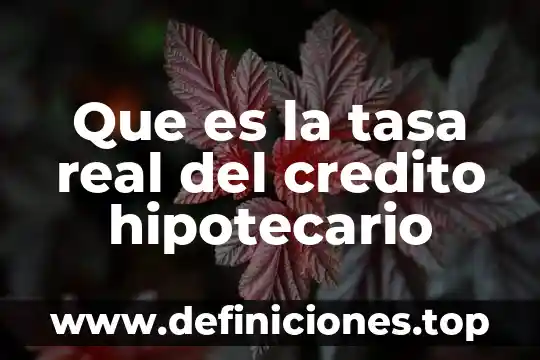 ¿Qué es el crédito hipotecario de INFONAVIT? 5 Que es la tasa real del credito hipotecario
