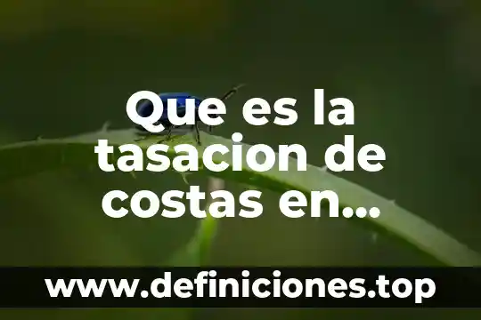 Que es la tasacion de costas en mexico