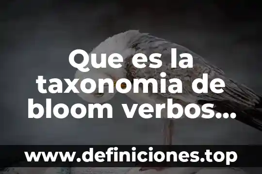Qué es un planteamiento y sus objetivos 5 Que es la taxonomia de bloom verbos para objetivos