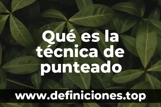 Que es la parte tecnica de une entrenamiento 8 Qué es la técnica de punteado