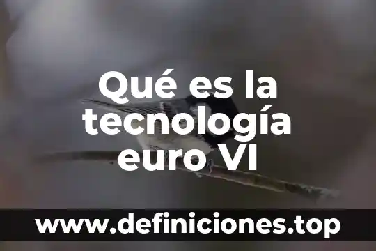 Que es el comando vi 3 Qué es la tecnología euro VI