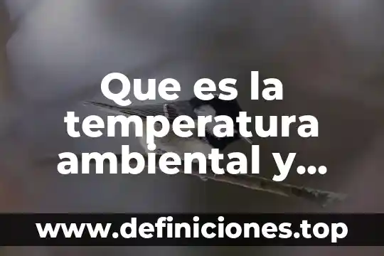 Materia proyecto de investigación que es 7 Que es la temperatura ambiental y como se mide