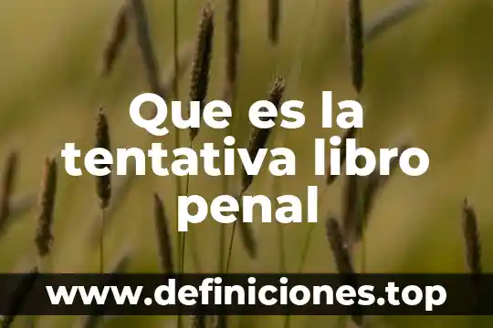 ¿Qué es un algoritmo libro de Aidez? 6 Que es la tentativa libro penal