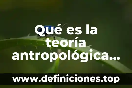 Qué es la teoría antropológica Yahoo