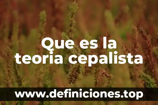 ¿Qué es la teoría de la información algorítmica? 7 Que es la teoria cepalista