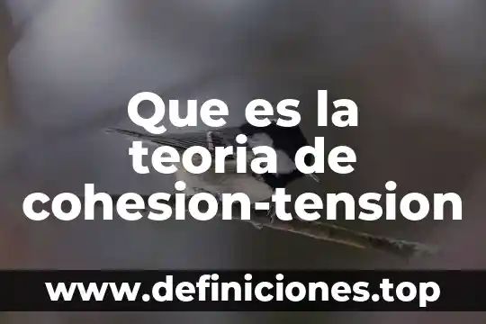 Que es la teoria de cohesion-tension