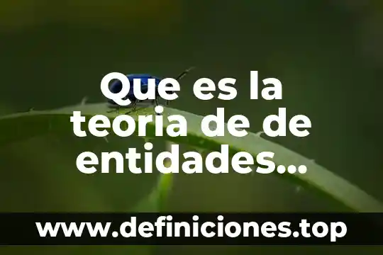 Que es la teoria de de entidades propositivas