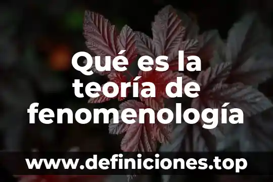 Qué es la teoría de fenomenología