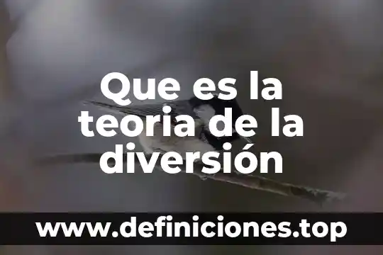 Que es la teoria de la diversión
