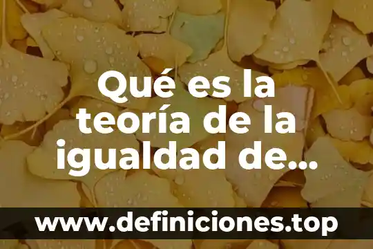Qué es la teoría de la igualdad de oportunidades