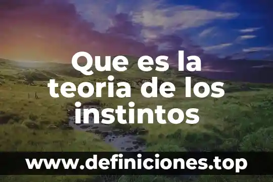 Que es la teoria de los instintos