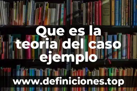 Que es incrementar los recursos 8 Que es la teoria del caso ejemplo