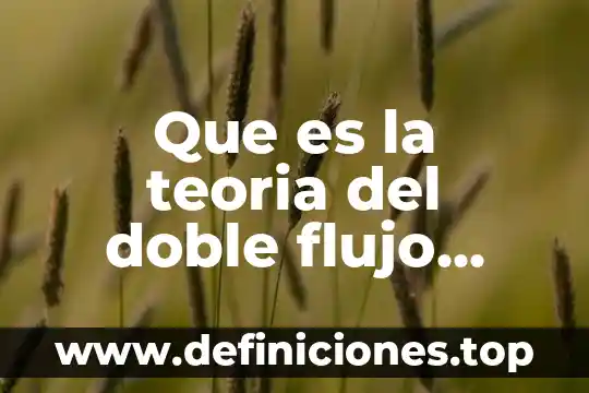 Que es la teoria del doble flujo lazarsfeld