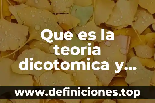 Que es la teoria dicotomica y tricotomica del derecho