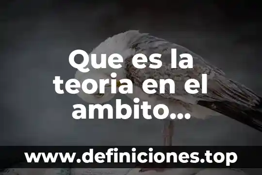 Que es una teoria civilista ejemplos 7 Que es la teoria en el ambito pedagogico