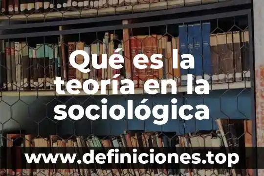 Por que es importante conocer los tipos de proveedores 7 Qué es la teoría en la sociológica