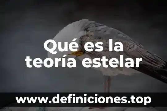 Qué es la teoría estelar