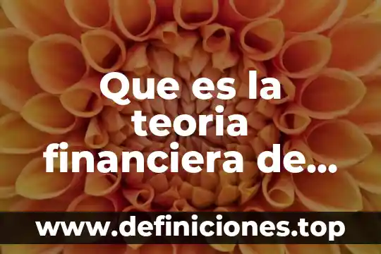 Que es eficencia financiera en contabilidad 3 Que es la teoria financiera de las particulas