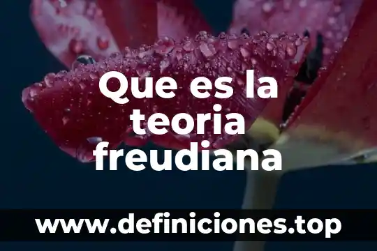 ¿Qué es la teoría de la información algorítmica? 6 Que es la teoria freudiana