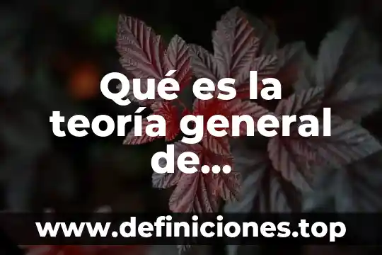 Qué es la teoría general de contabilidad en México