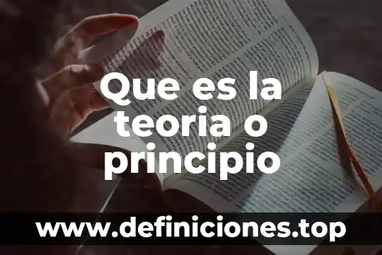 Que es la teoria o principio