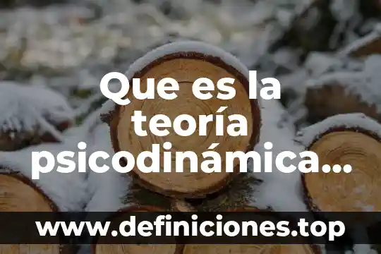 Que es la teoría psicodinámica con autores
