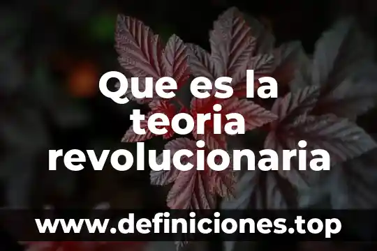 Que es la teoria revolucionaria