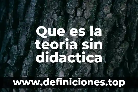 Que es la teoria sin didactica