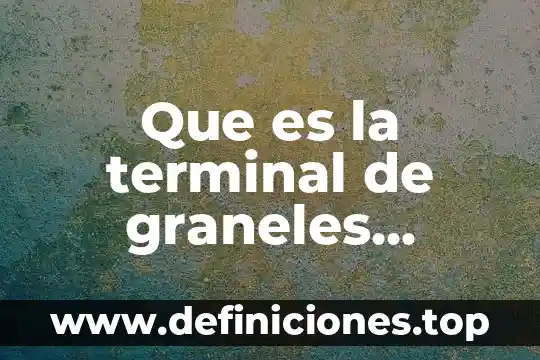 Que es la terminal de graneles minerales