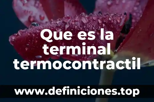 Que es la terminal termocontractil