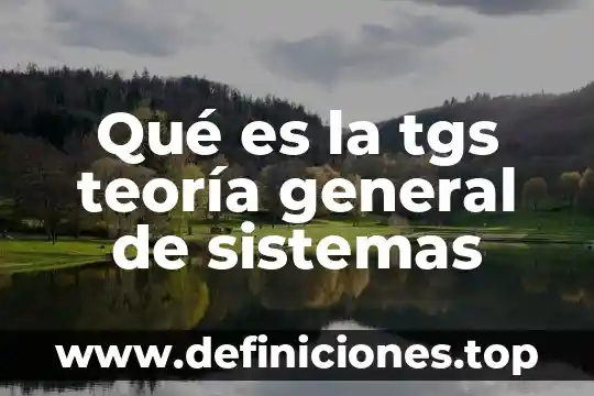Qué es la tgs teoría general de sistemas