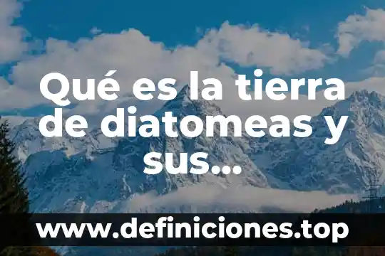 Qué es el internet y sus aplicaciones 6 Qué es la tierra de diatomeas y sus aplicaciones