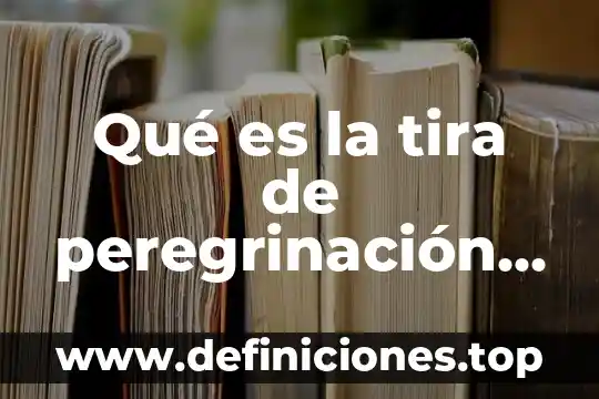 Que es el colera resumen 8 Qué es la tira de peregrinación resumen