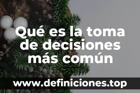 Que es una toma de desisión programación 8 Qué es la toma de decisiones más común