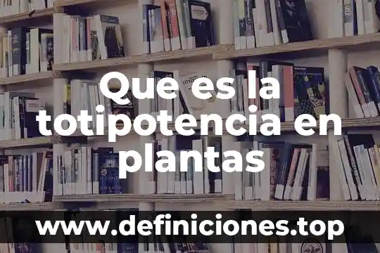Que es el rendimiento en plantas 4 Que es la totipotencia en plantas