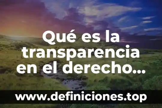 Que es el derecho constitucional estatal 4 Qué es la transparencia en el derecho penal