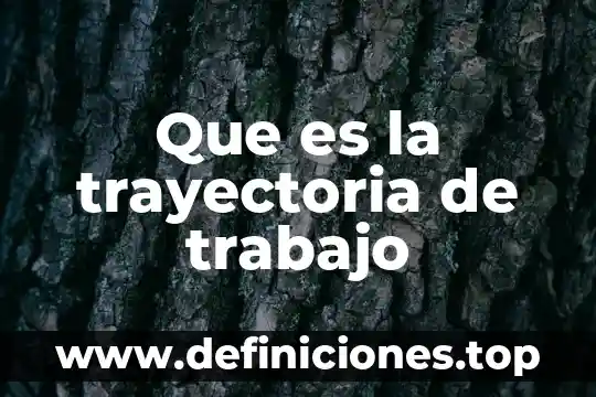 Que es un apodo ejemplos 4 Que es la trayectoria de trabajo
