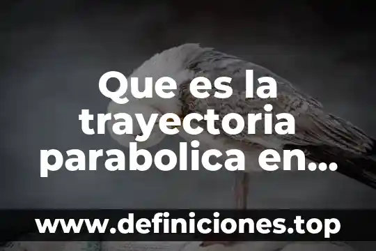 Que es una trayectoria y para que sirve 6 Que es la trayectoria parabolica en fisica