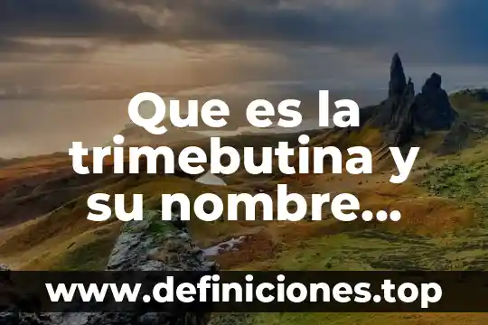 Qué es un nombre de dominio y sus partes 4 Que es la trimebutina y su nombre comercial