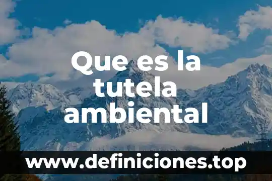 Que es un impacto ambiental sobre el suelo 5 Que es la tutela ambiental