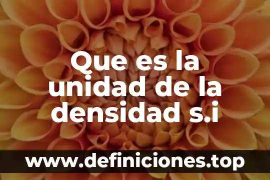 Que es un i en unidad de medida 3 Que es la unidad de la densidad s.i