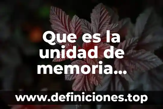 Que es espacio temporal en las artes 3 Que es la unidad de memoria temporal