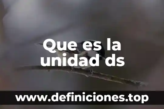 Que es la unidad perm 4 Que es la unidad ds