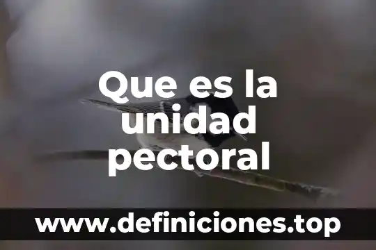 Que es la unidad perm 7 Que es la unidad pectoral