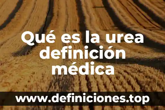 Qué es el arte conceptual definición 8 Qué es la urea definición médica