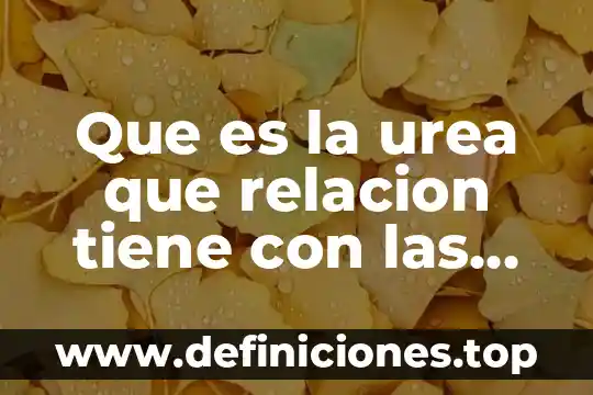 Que es y que importancia tiene la aculturacion 5 Que es la urea que relacion tiene con las proteinas