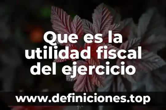 Que es modelo de utilidad impi 8 Que es la utilidad fiscal del ejercicio