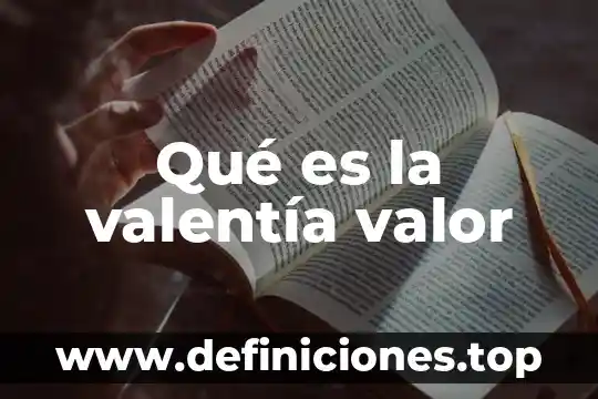 Que es valor presente del dinero 8 Qu茅 es la valent铆a valor