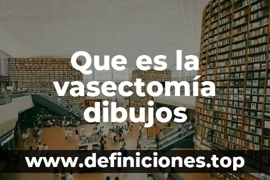 Qué es un malla hablando de computadoras 6 Que es la vasectomía dibujos